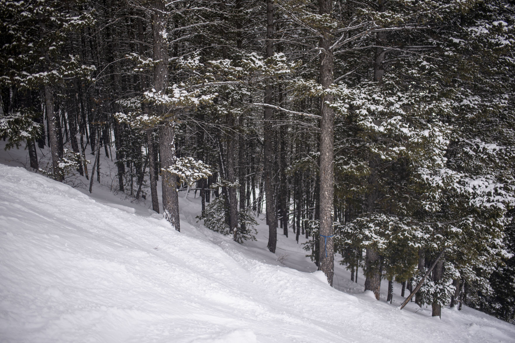 Proposed roads on Snow King.